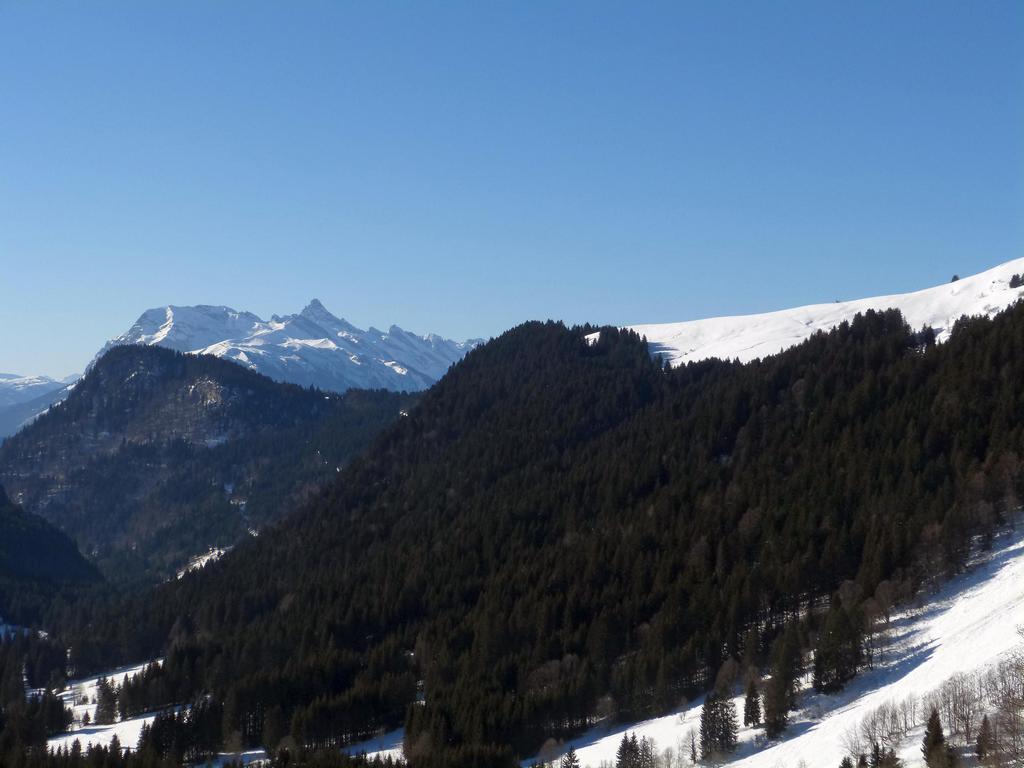 {Clic pour voir plus grand}