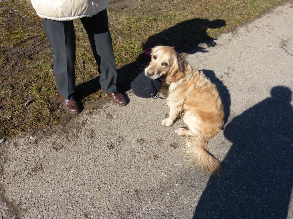 {Clic pour voir plus grand}