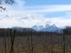 Click to see big picture (1024x768 pixels; 117 KB)