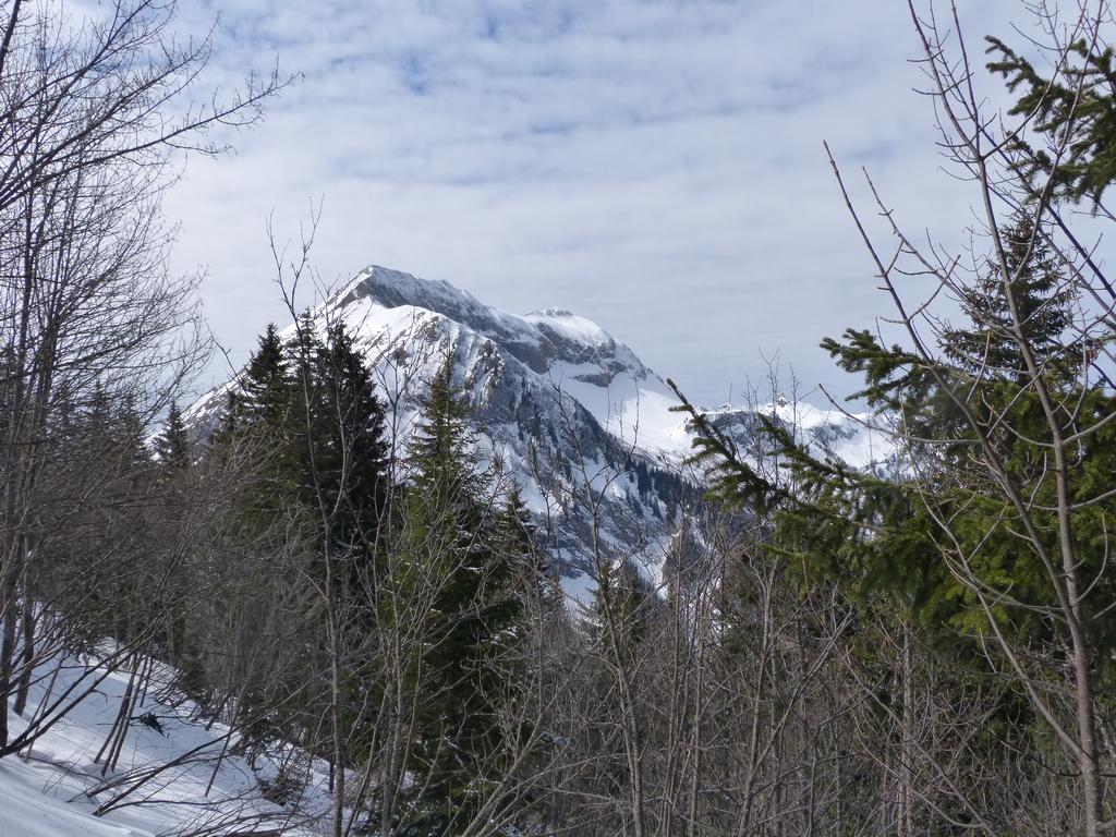 {Clic pour voir plus grand}