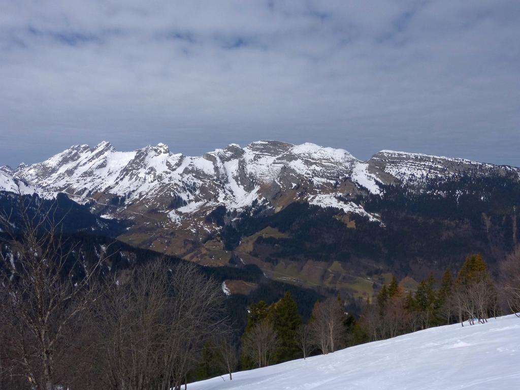 {Clic pour voir plus grand}