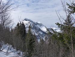 Click to see big picture (1024x768 pixels; 183 KB)