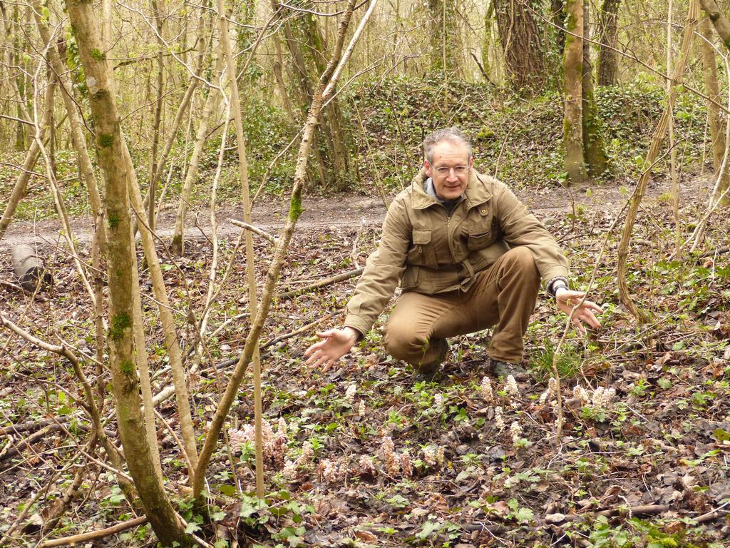 {Clic pour voir plus grand}