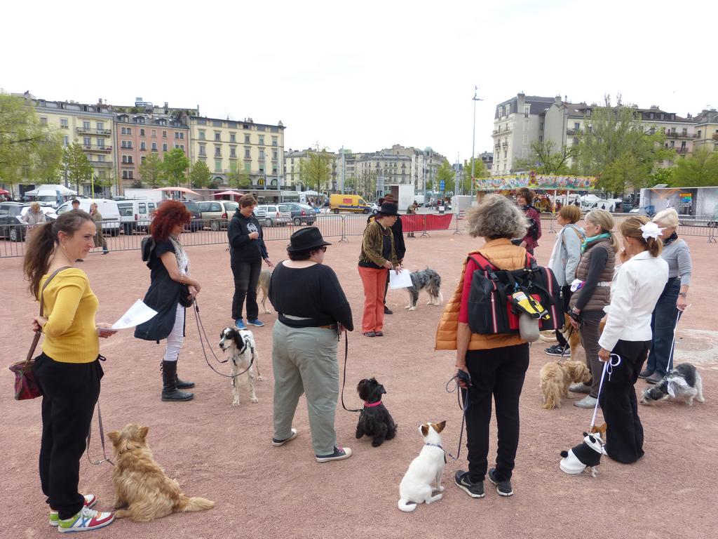 {Clic pour voir plus grand}