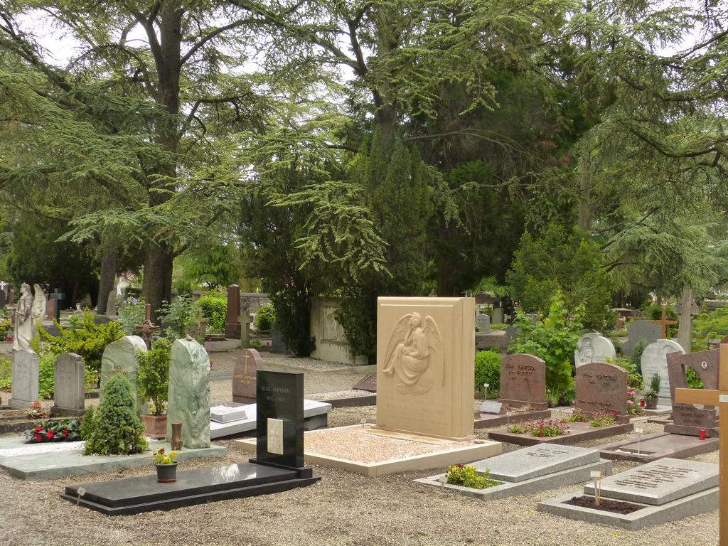 {Clic pour voir plus grand}