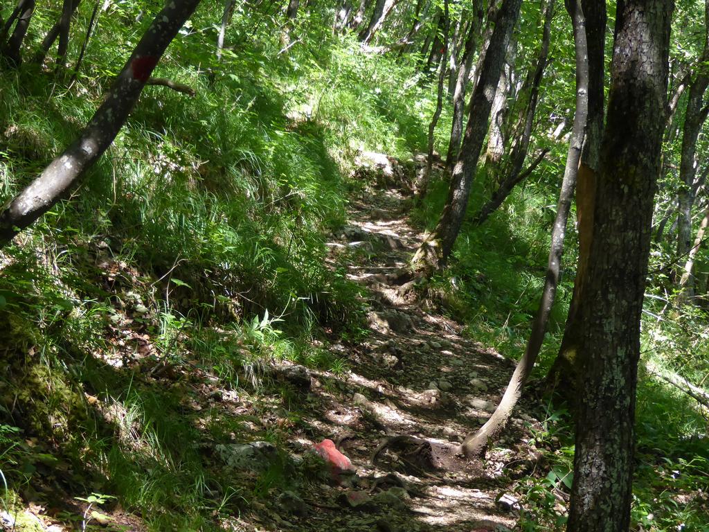 {Clic pour voir plus grand}