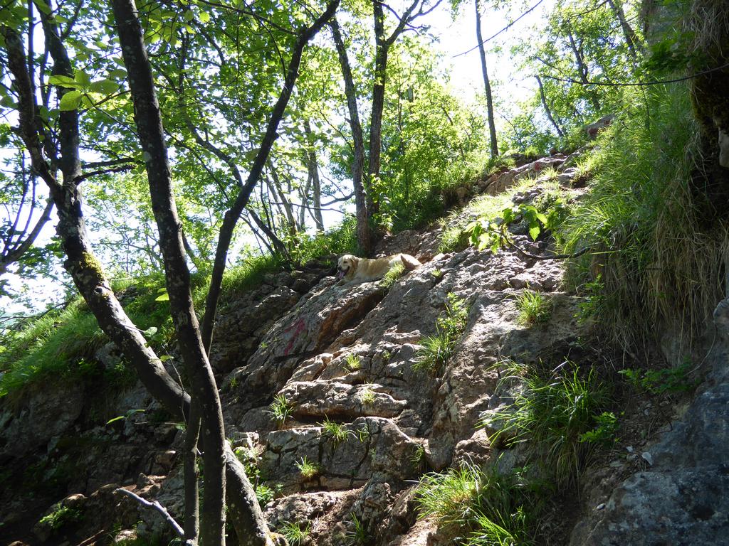 {Clic pour voir plus grand}