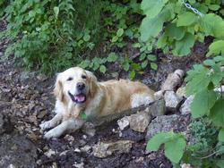 Click to see big picture (1024x768 pixels; 176 KB)