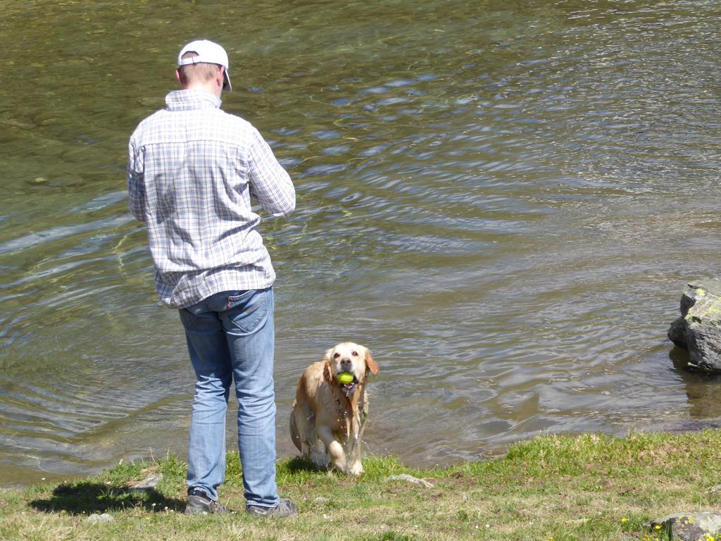 {Clic pour voir plus grand}