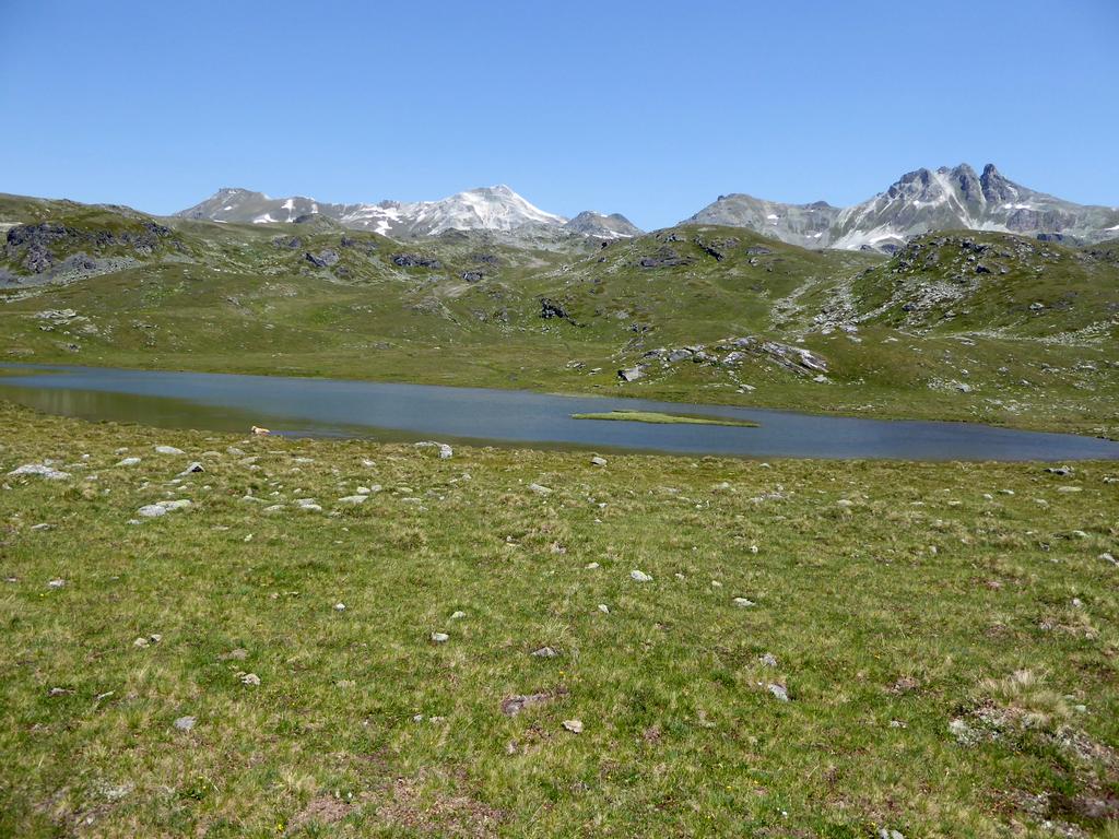 {Clic pour voir plus grand}