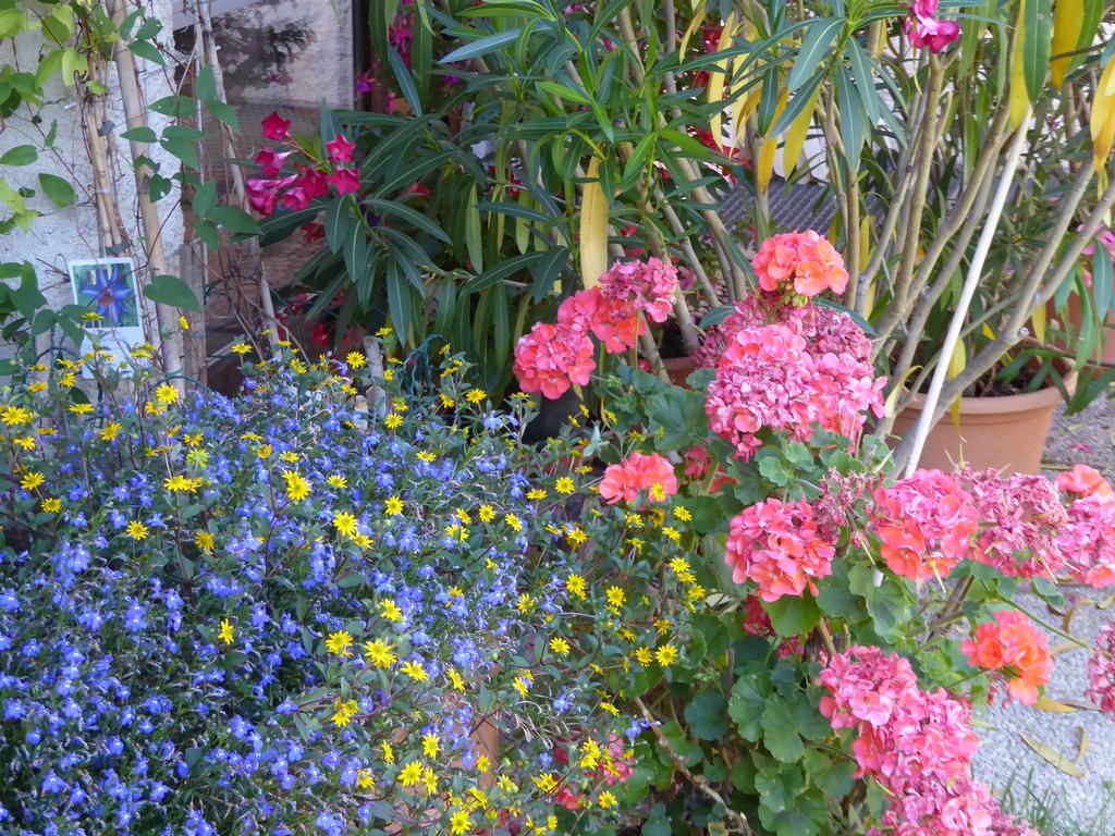 {Clic pour voir plus grand}