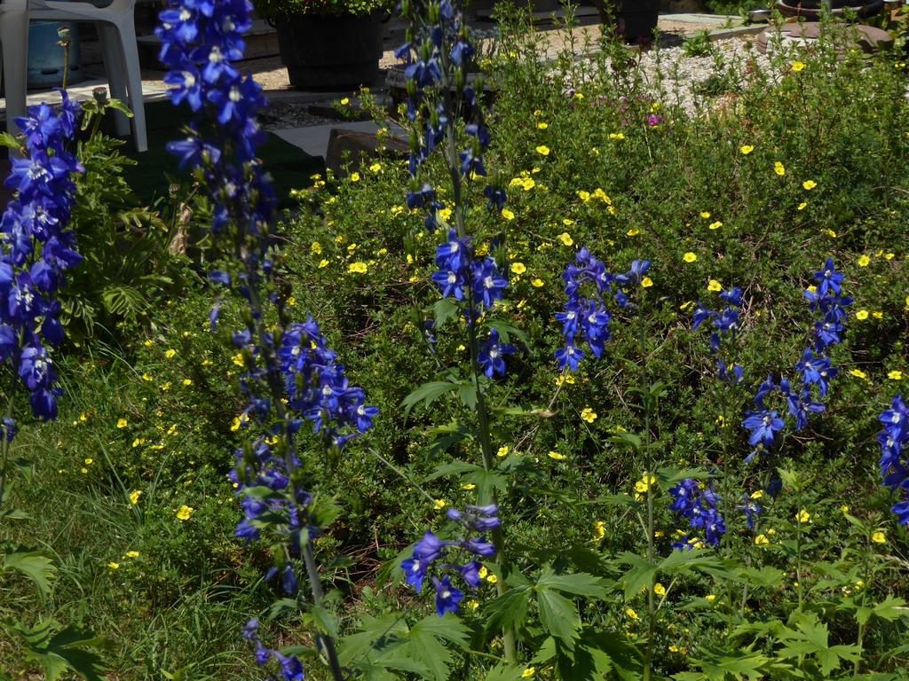 {Clic pour voir plus grand}