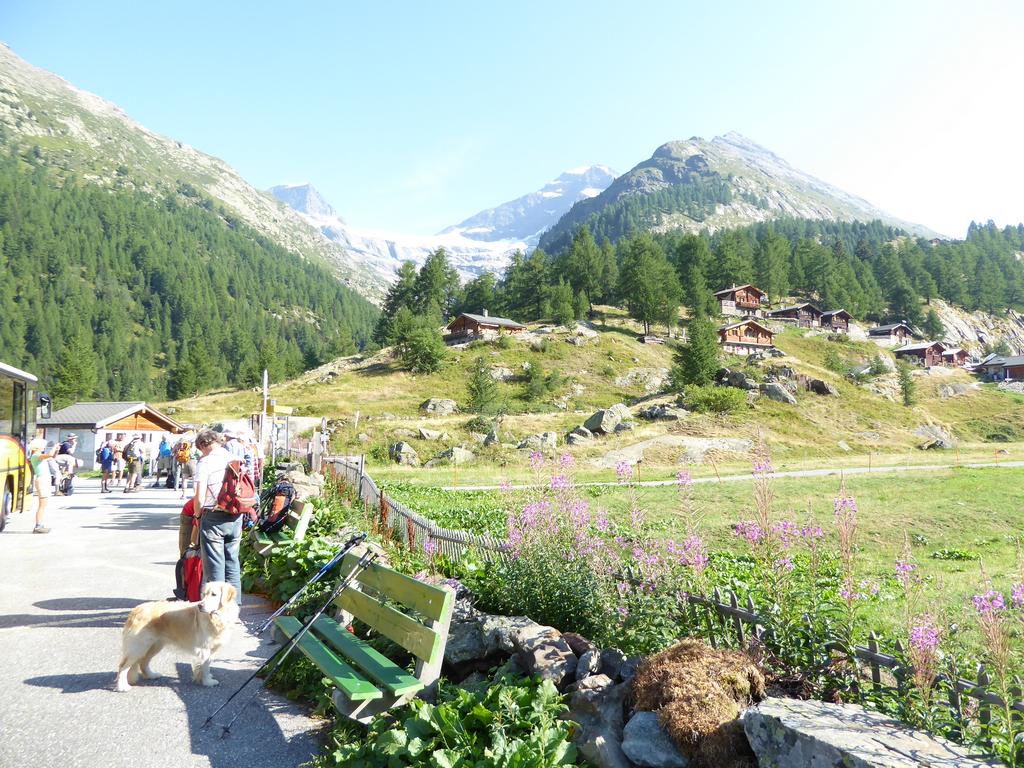 {Clic pour voir plus grand}