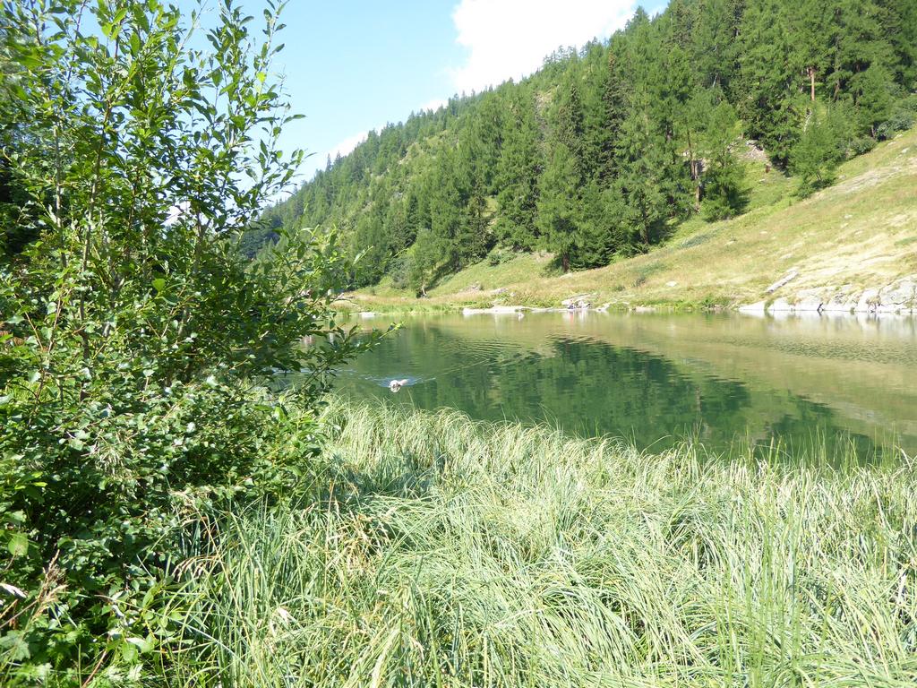 {Clic pour voir plus grand}