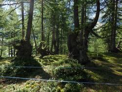 Click to see big picture (1024x768 pixels; 238 KB)