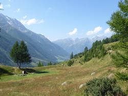 Click to see big picture (1024x768 pixels; 123 KB)