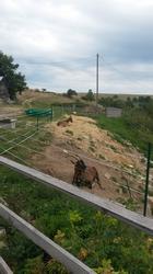 Click to see big picture (429x768 pixels; 54 KB)