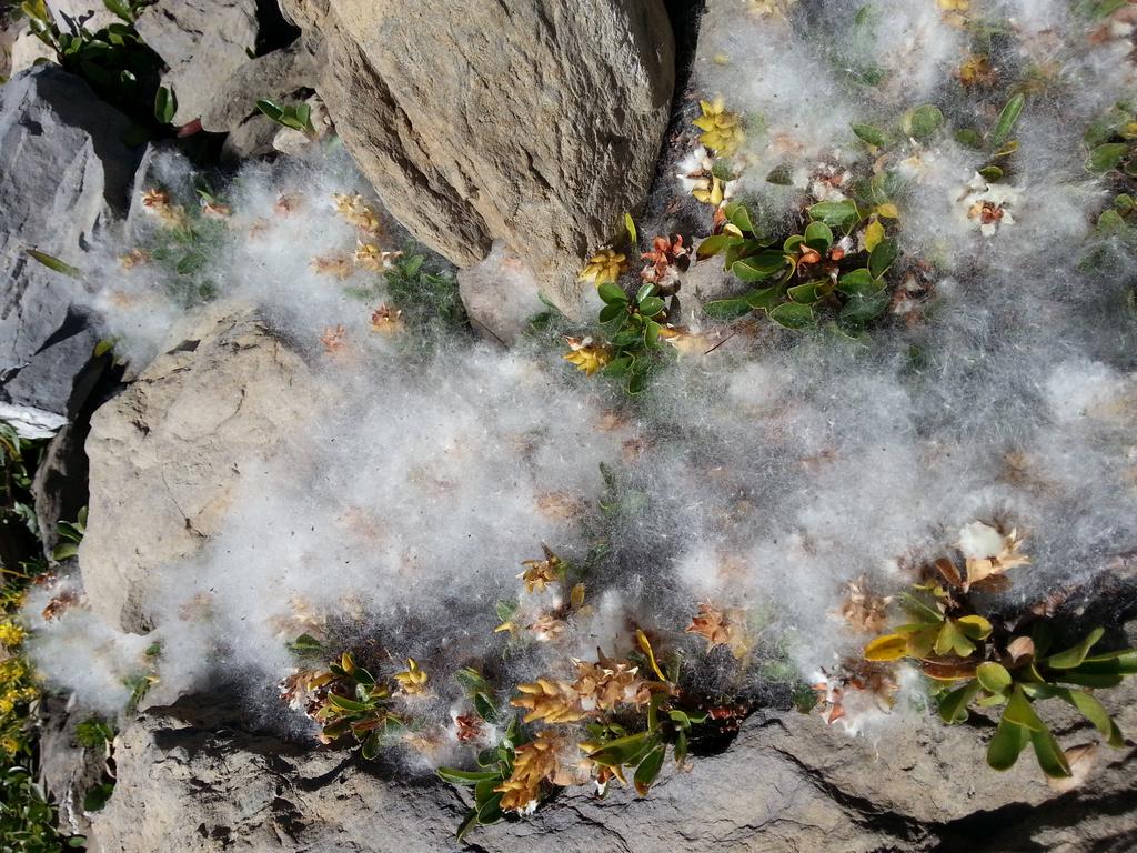 {Clic pour voir plus grand}