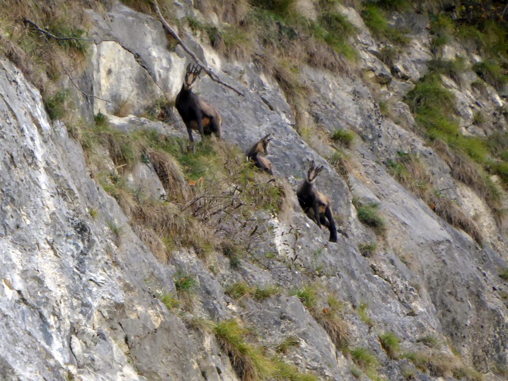 {Clic pour voir plus grand}