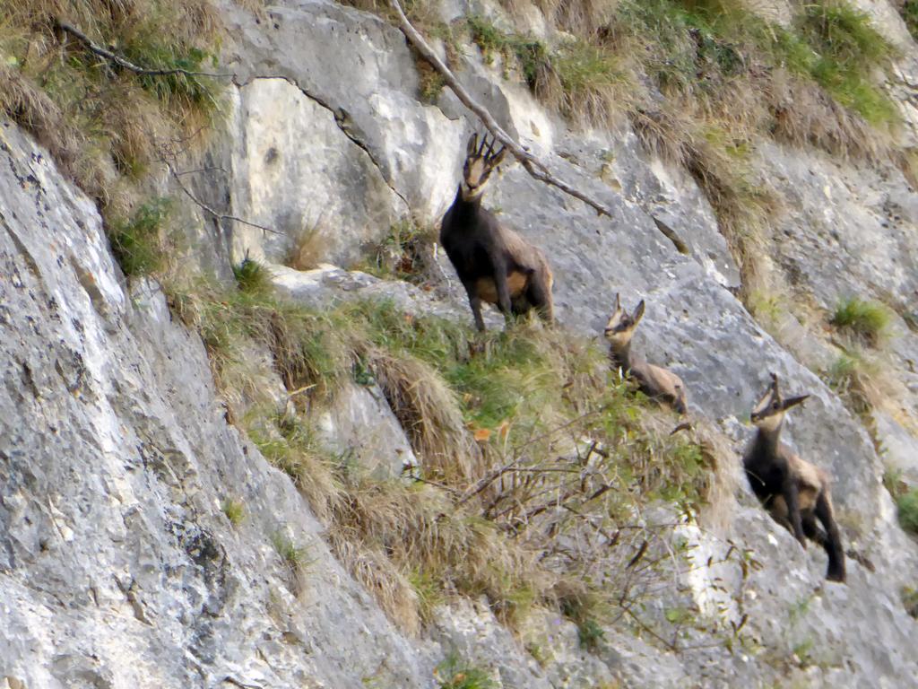 {Clic pour voir plus grand}