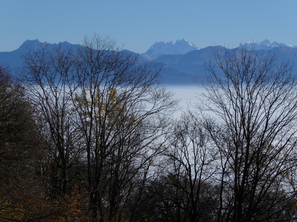 {Clic pour voir plus grand}