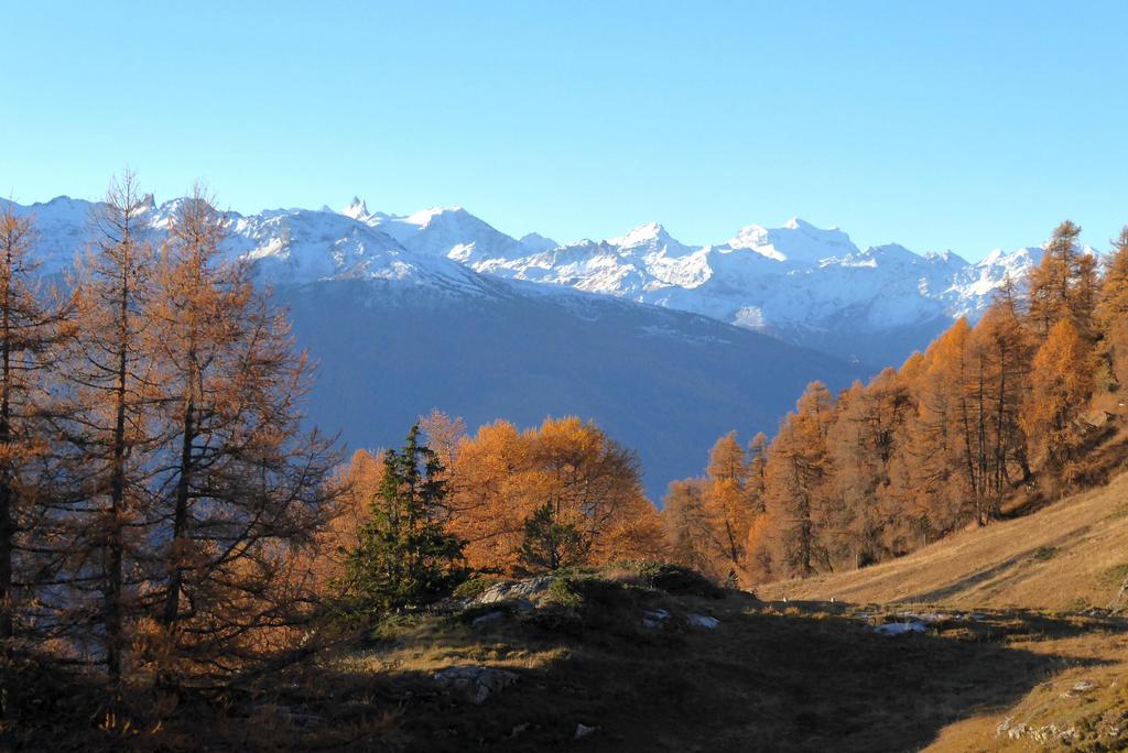 {Clic pour voir plus grand}