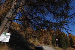 Click to see big picture (1024x684 pixels; 142 KB)