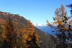 Click to see big picture (1024x684 pixels; 129 KB)