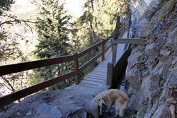 Click to see big picture (1024x684 pixels; 176 KB)