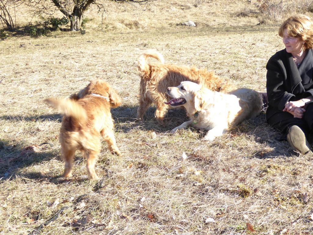 {Clic pour voir plus grand}