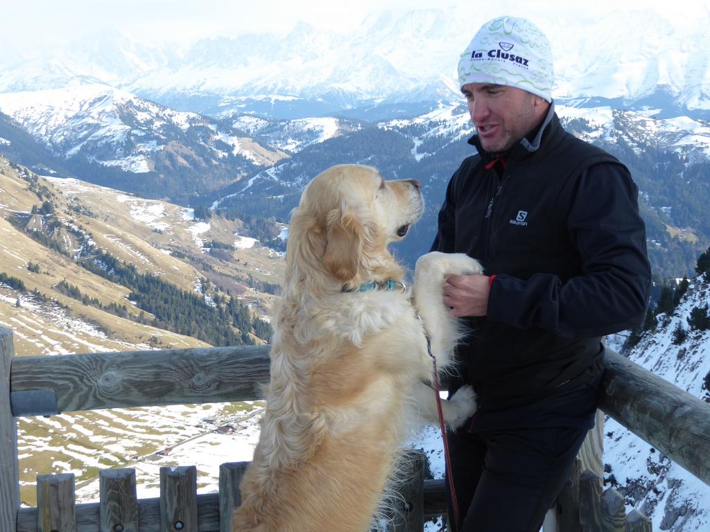 {Clic pour voir plus grand}