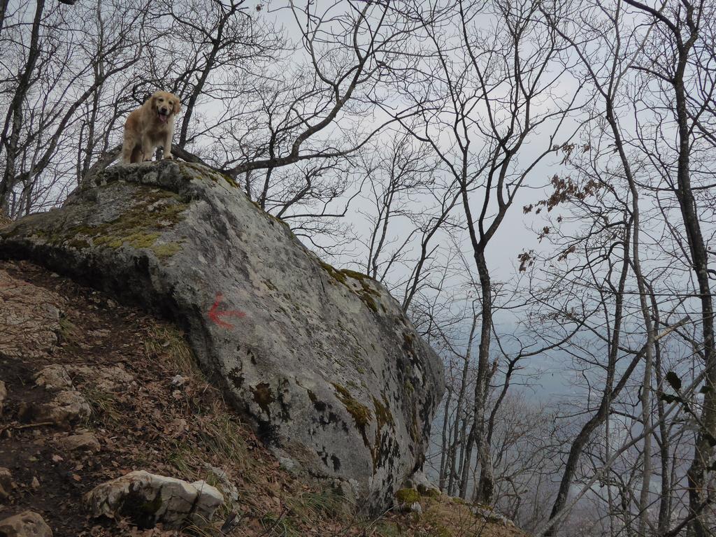 {Clic pour voir plus grand}