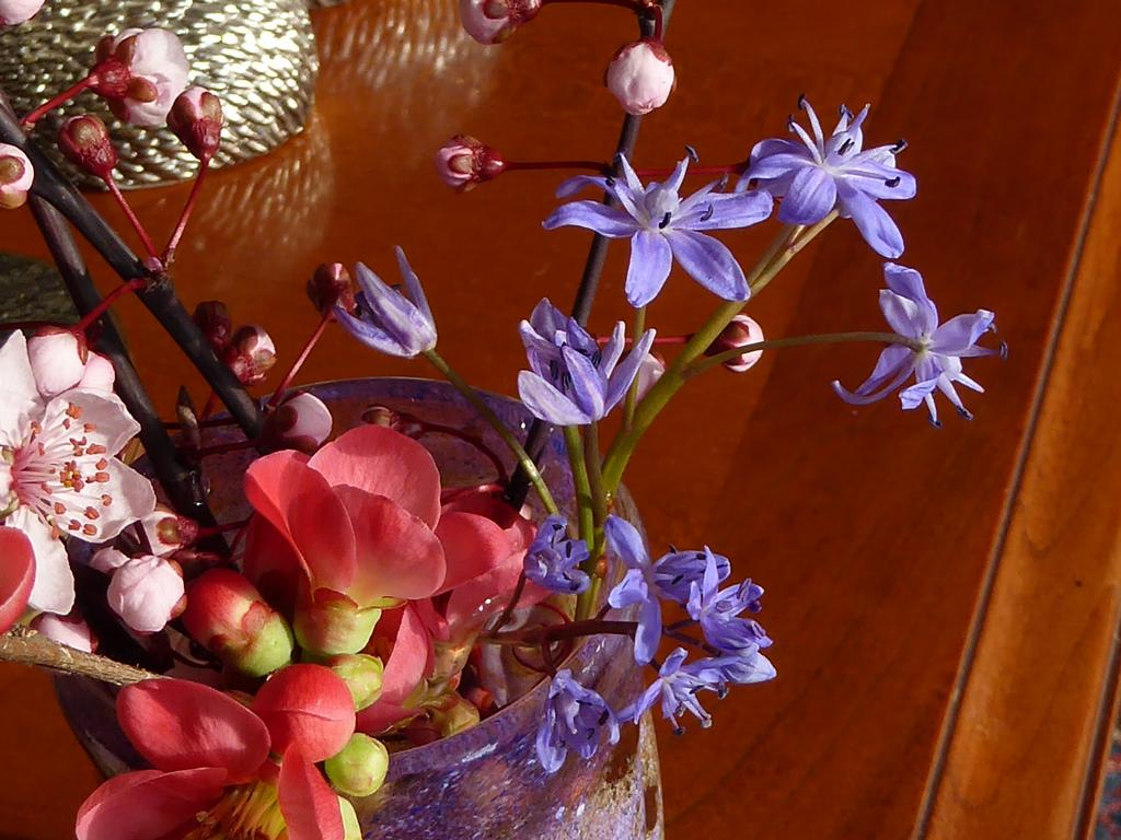 {Clic pour voir plus grand}