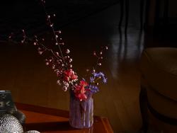 Click to see big picture (1024x768 pixels; 52 KB)