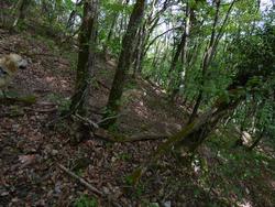 Click to see big picture (1024x768 pixels; 226 KB)