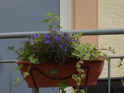 Click to see big picture (1024x768 pixels; 89 KB)