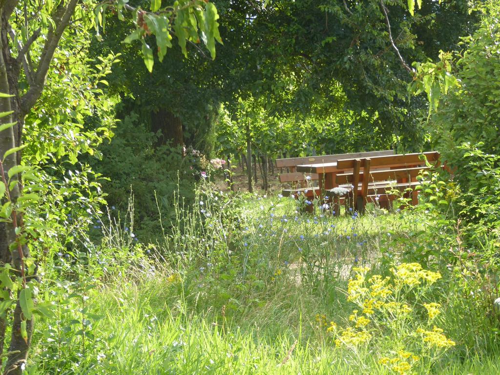 {Clic pour voir plus grand}