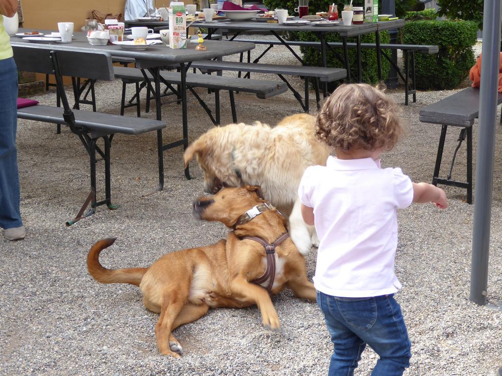 {Clic pour voir plus grand}