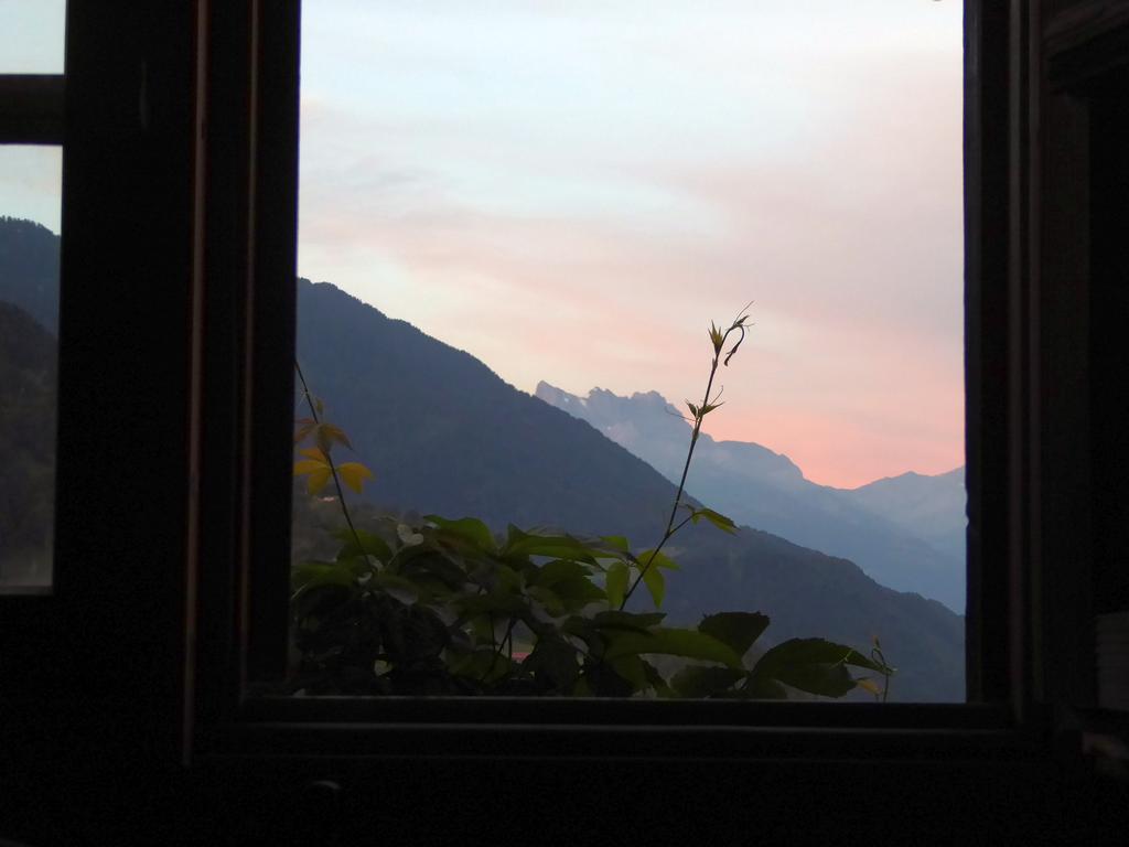 {Clic pour voir plus grand}