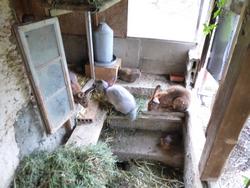 Click to see big picture (1024x768 pixels; 107 KB)