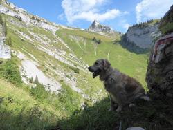 Click to see big picture (1024x768 pixels; 159 KB)