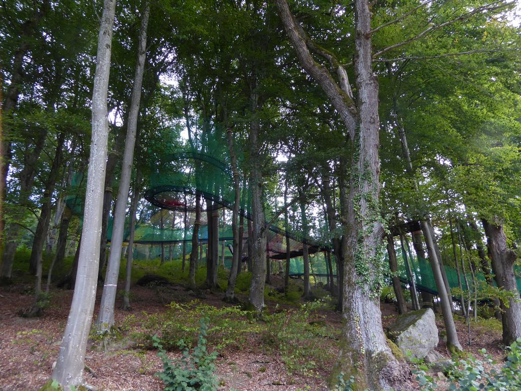 {Clic pour voir plus grand}