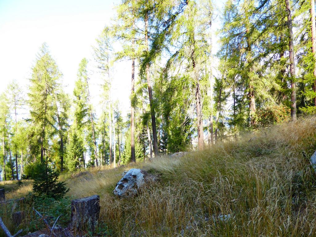 {Clic pour voir plus grand}