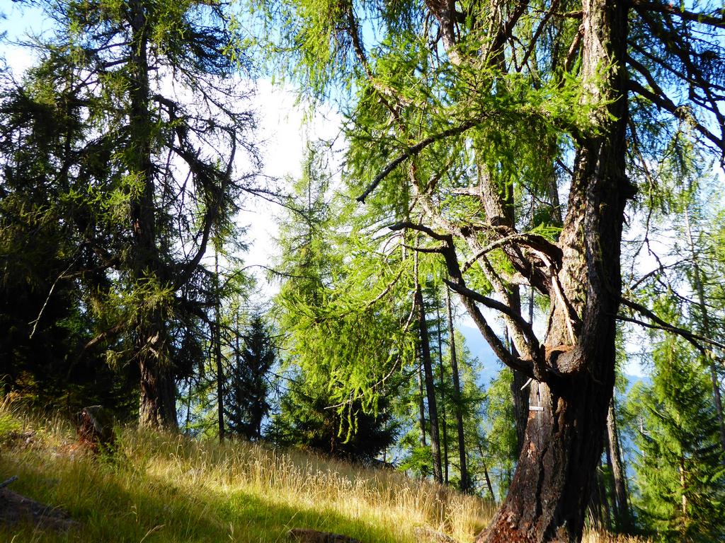 {Clic pour voir plus grand}