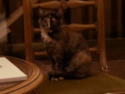 Click to see big picture (1024x768 pixels; 42 KB)