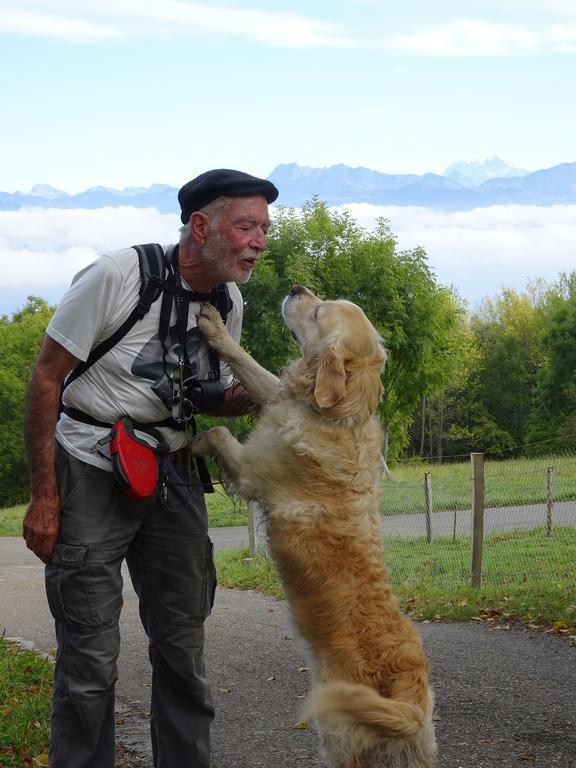 {Clic pour voir plus grand}