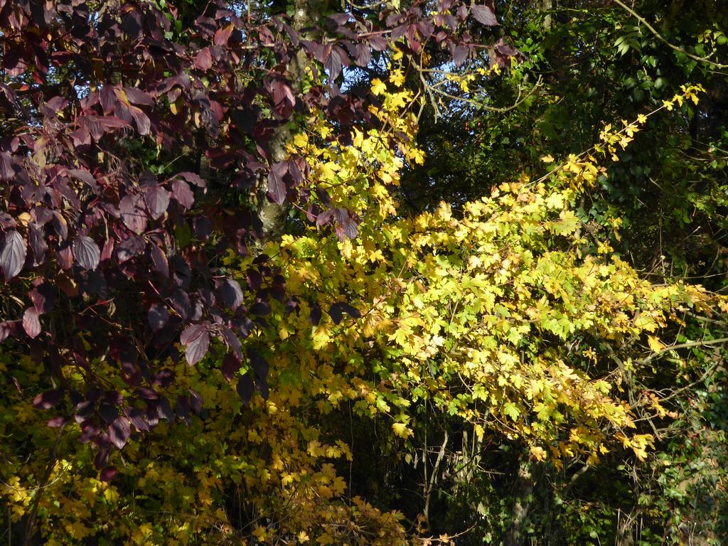 {Clic pour voir plus grand}