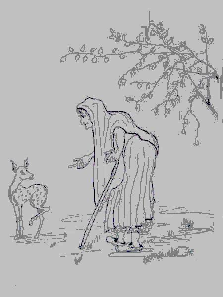 Cliquer pour voir l'image suivante