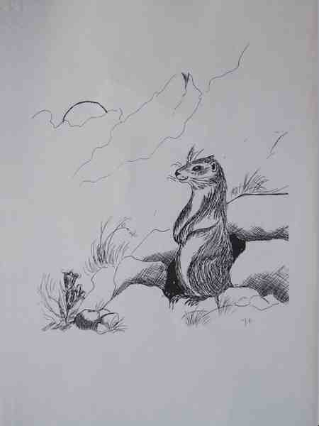 Cliquer pour voir l'image suivante