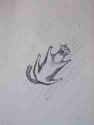 Cliquer pour agrandir l'image (450x600 pixels; 19 KB)